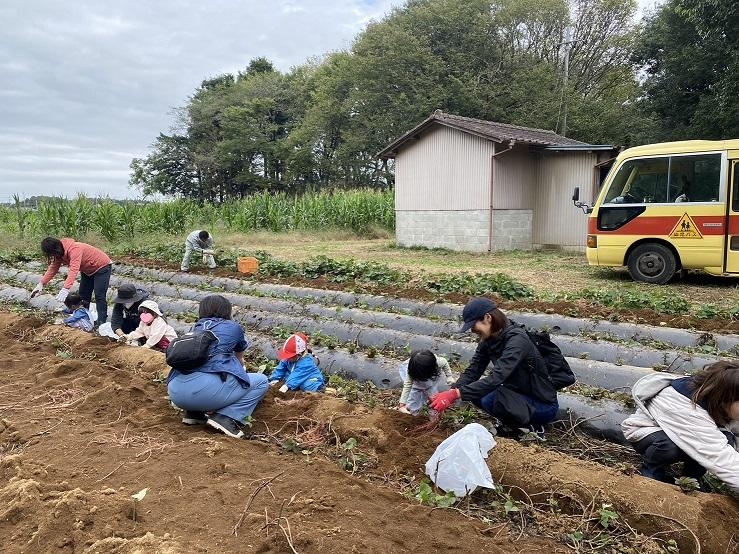 💛ポッポおいもほり