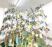 💛七夕集会～きらきら園～