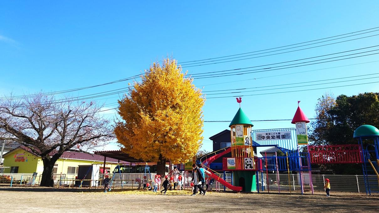 ☆紅葉　発表会総練習